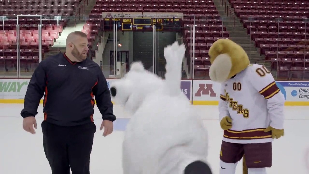 A polar bear with funny problems in the ice