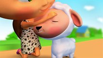 Children's Cool Songs Cartoons - Mary had a Little Lamb - Kids Music & Nursery Rhymes