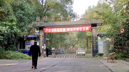 China's future economy: stagnation?