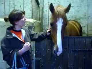 Ma Première rencontre avec Ourasy mon nouveau cheval