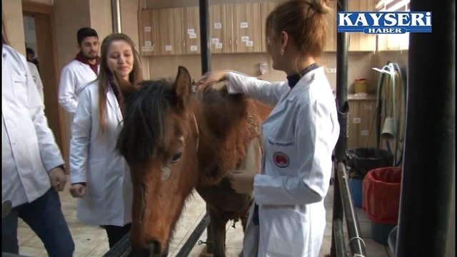 ERÜ VETERİNER FAKÜLTESİ HASTANESİ 7 24 ACİL HİZMETİ VERİYOR