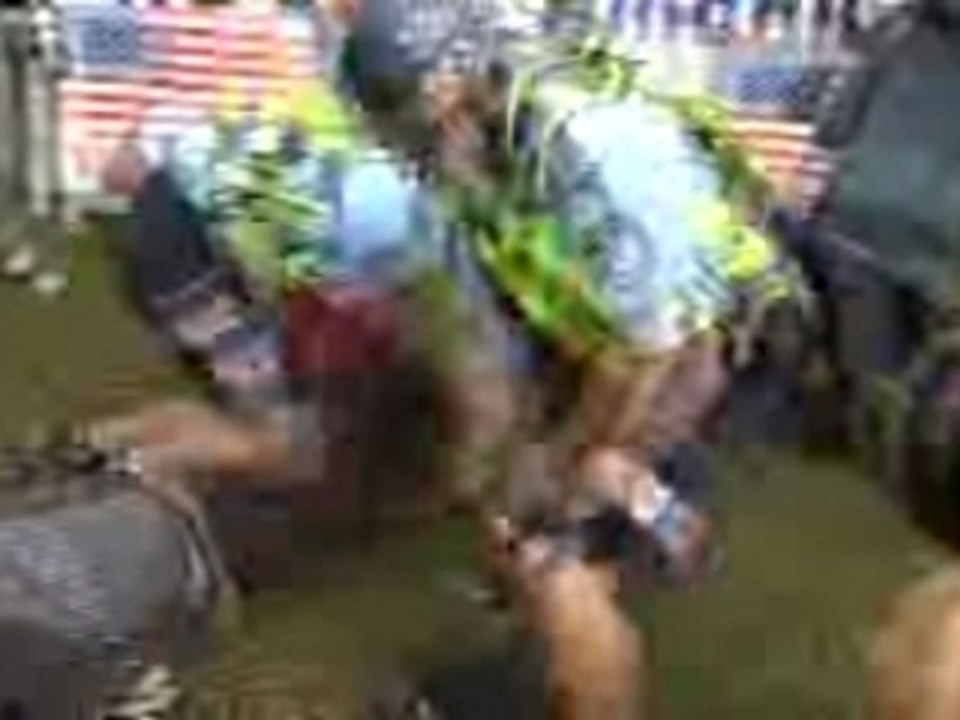 Aussie fights