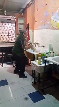 Ce toiletteur pour chien se fait un gros kiff... Ahaha