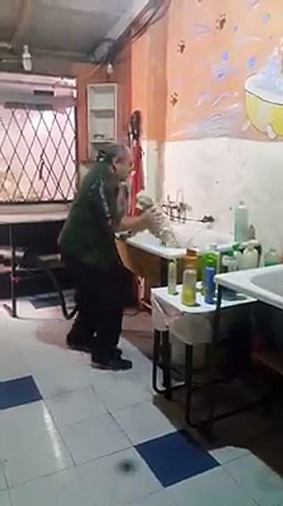 Ce toiletteur pour chien se fait un gros kiff... Ahaha