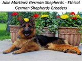 Julie Martinez German Shepherds - Ethical German Shepherds Breeders