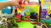 Пластилин Плей До Черепашка на русском языке,Unboxing Play Doh Turtle