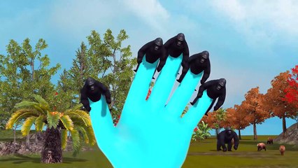 3D Animated Gorilla Finger Family Rhymes For Children | Top Nursery Animated Rhymes