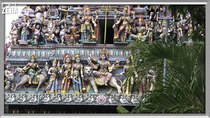 10 unglaubliche Menschen mit zusätzlichen Körperteilen!-11IDwyQ5QVA