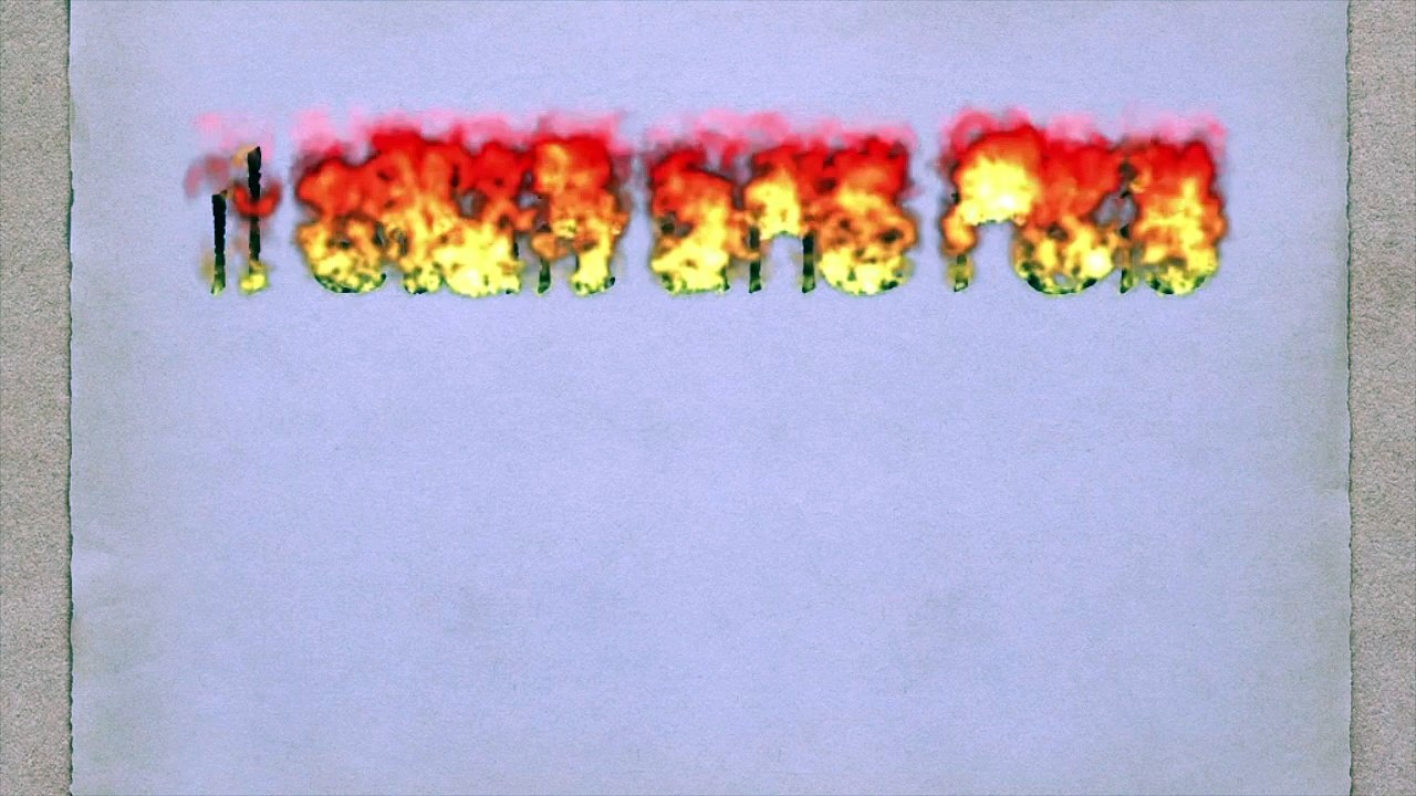 Milo du club canin educ'A'Dog