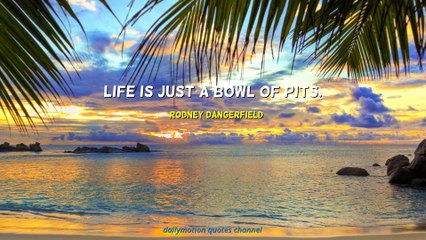 Rodney Dangerfield Quotes #2