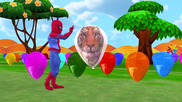 SpiderBaby Kinder Surprise Eggs Street Vehicles | Animals Balloons Finger Family Rhymes Collection