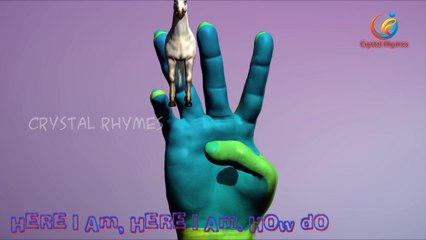 Horse Finger Family rhymes | Nursery Children learn about horse
