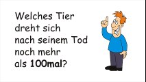 Welches Tier dreht sich nach seinem Tod noch mehr als 100mal