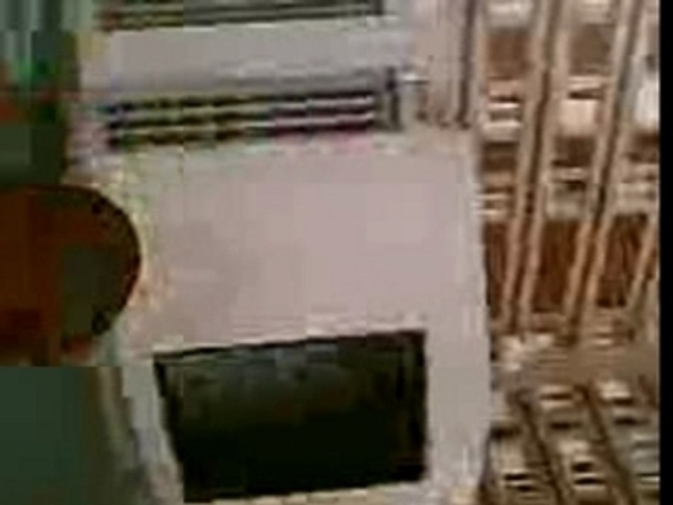 Cul de renoi