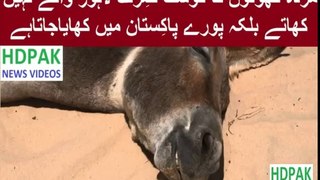 Donkey Beef Foods Available In Pakistan
