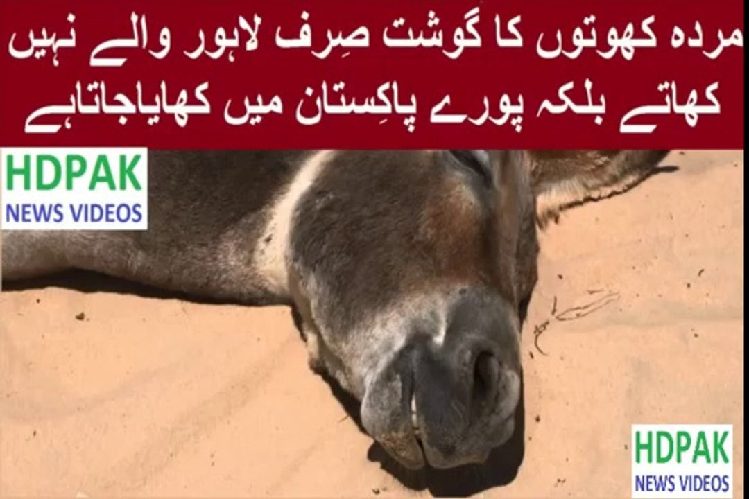 Donkey Beef Foods Available In Pakistan