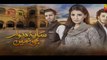 Saya e Dewar Bhi Nahi Episode 22 Promo HD HUM TV Drama 04 January 2017
