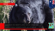 Mãe urso morta depois de atacar mulher em Maryland.
