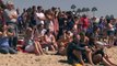 Surf's up at annual dog surfing day in Huntington Beach