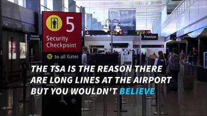 The TSA has found some crazy things in people's luggage