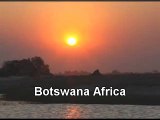 Hyena Drags a Dead Lion - Botswana Africa