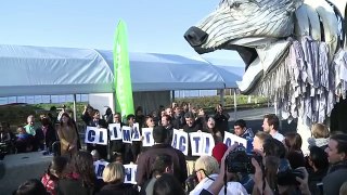 Greenpeace installs giant mechanical bear outside climate talks