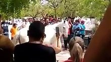 Cavalo faz despedida emocionante ao dono no funeral