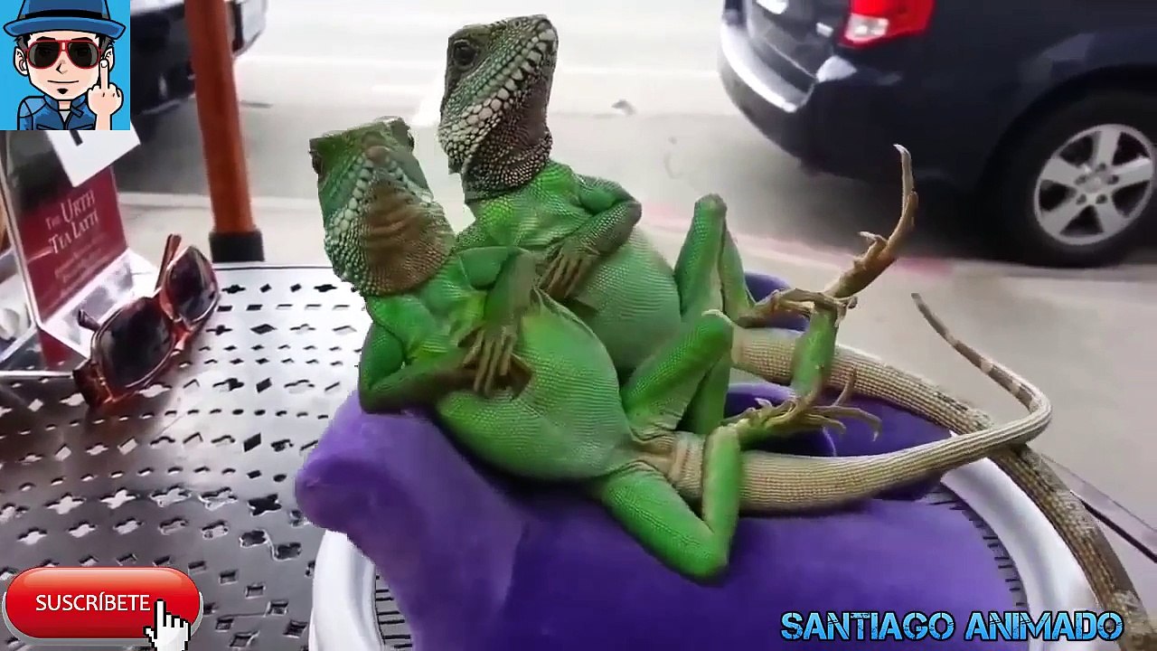 SI TE RIES PIERDES NIVEL MAXIMO xD SUSCRIBETE xD