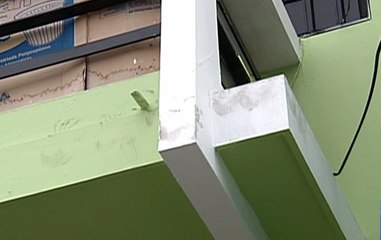 Delincuentes drogaron a un perro y robaron una casa en Guayaquil