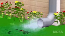 Incy Wincy Spider Nursery Rhymes For Kids | Popular 3d Animated Nursery Rhymes For Kids