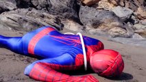 SPMFC Fat Spiderman vs Hulk Energy drink Prank Superheroes fun Movie in Real Life