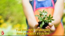 Le Pedí a Dios   Reflexión Cristiana   Mensaje de Aliento