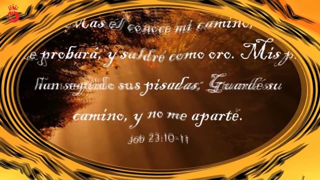 Mensajes cristianos de amor y fe para reflexionar y compartir