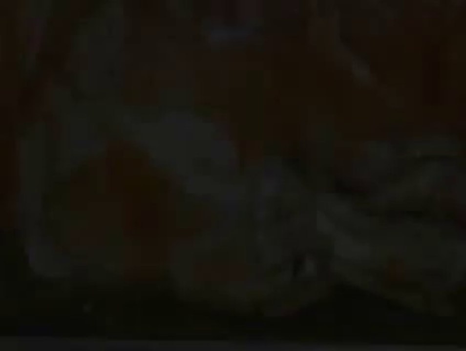 schau nicht weg, wir menschen müssen uns ändern