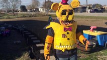 Five Nights at Freddys NEW jumpscares - Fredbear, Foxy, Chica, DRONE