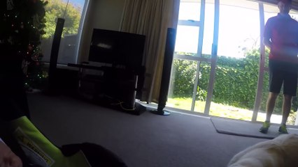 Golden Retriever meets our Baby for the first time in 2K!