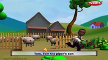 Tom Tom The Pipers Son | Nursery Rhymes With Lyrics | Nursery Poems | 3D Nursery Rhymes For Children