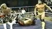 NWA Steiner Brothers vs The Freebirds 1989 - WCW WWE WWF CWF