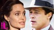 Angelina Jolie Claims Brad Pitt Traumatized The Kids