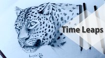 How to Draw a Leopard, Step by Step  رسم النمر بقلم الرصاص خطوة بخطوة