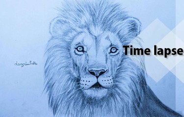 Ho to draw a Lion  رسم الاسد بقلم الرصاص