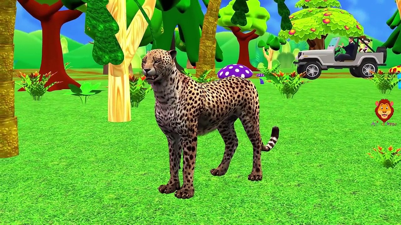 Animal Sounds Video For Kids   Animal Finger Family Songs   Old Mcdonald And More Nursery Rhymes