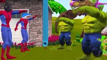 Spiderman Hulk Face Becomes Dinosaur Lion Finger Family | Colors Frozen Elsa Nursery Rhymes for Baby
