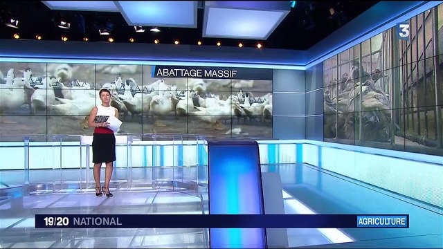 Grippe aviaire : visite de deux villages touchés des Deux-Sèvres