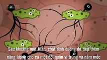 Điều gì sẽ xảy ra với cơ thể bạn sau khi chết