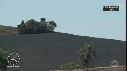 Indígenas ateiam fogo em plantações no Rio Grande do Sul