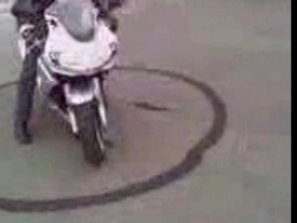 burns smiley sv 650