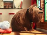 McDonalds - Happy Meal - The Secret Life of Pets- TV Toys