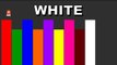 Learn Colors with Color Palette for Children, Teach Colours, Baby Videos, Kids Learning Videos