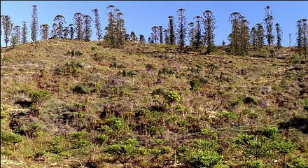 Dinosaurier.Im.Reich.der.Giganten.E01